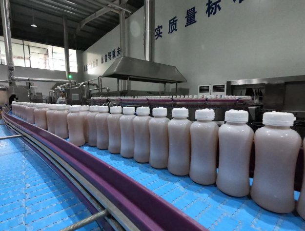 廬江紅茶菌飲品生產(chǎn)車(chē)間